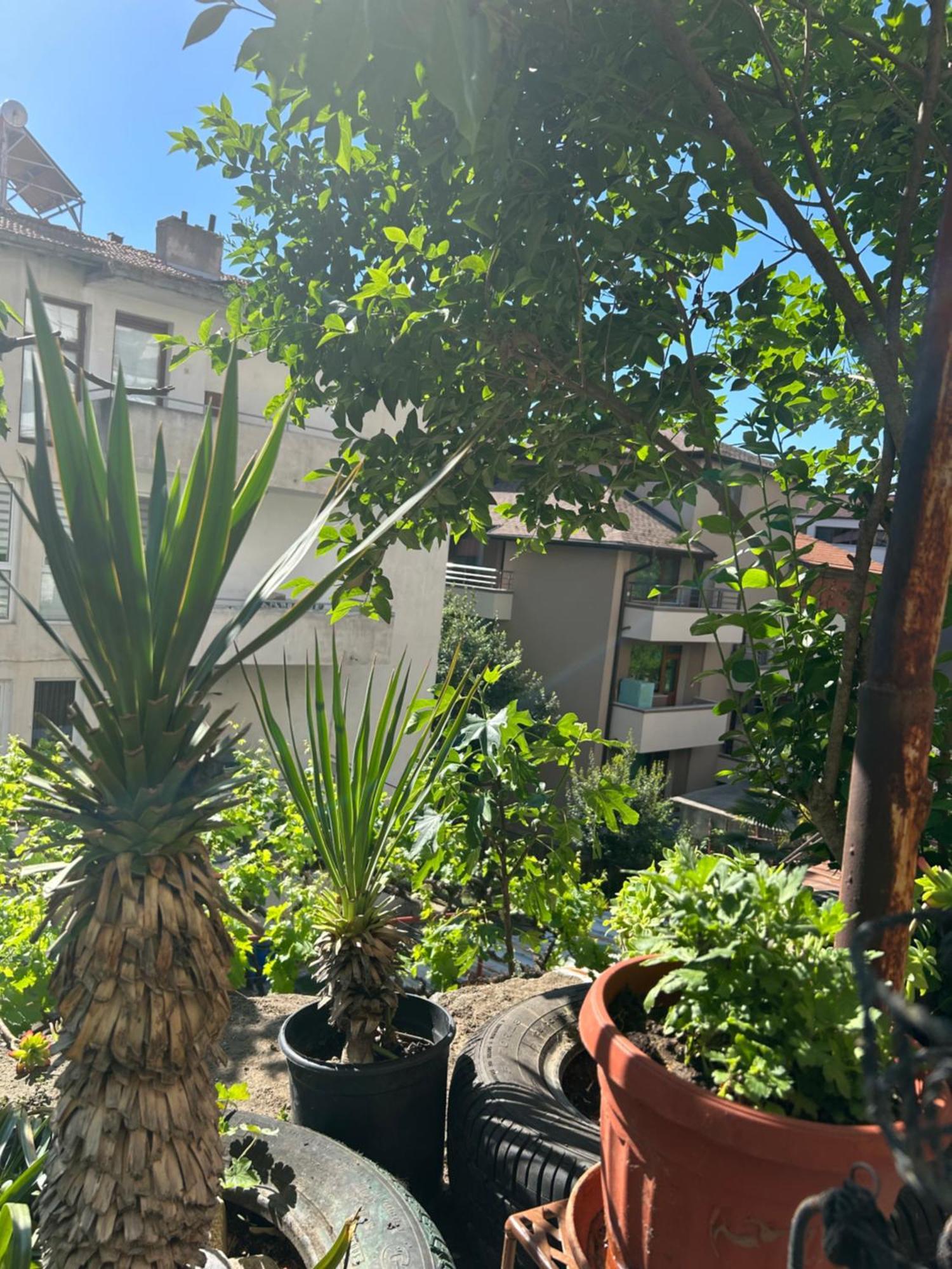 Appartamento Didi House Sandanski Esterno foto