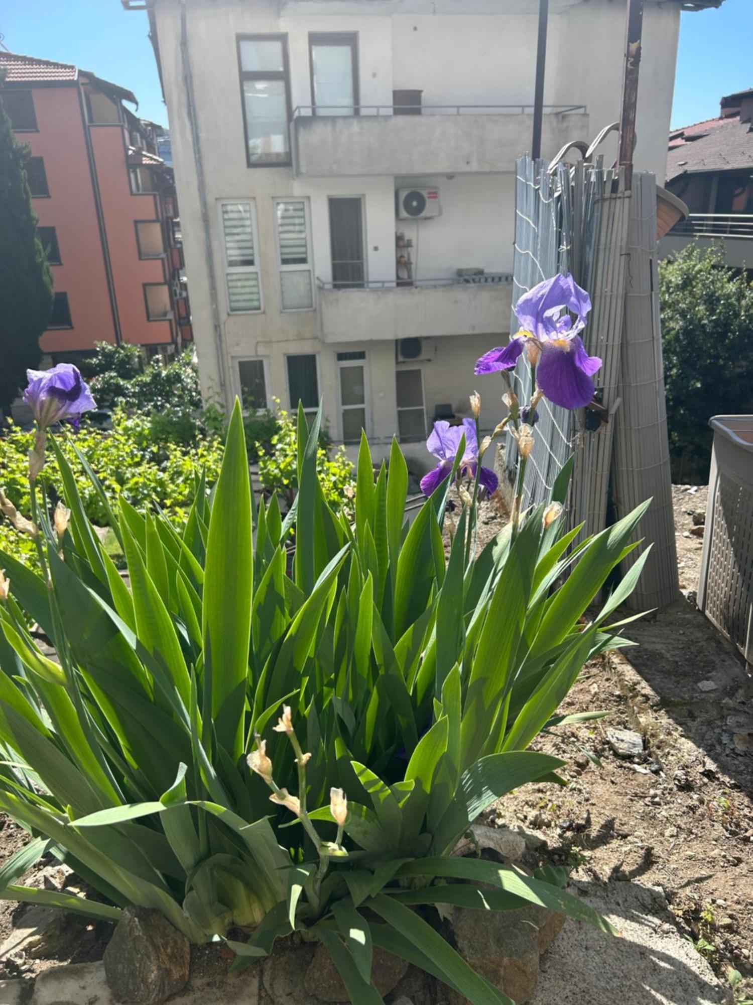 Appartamento Didi House Sandanski Esterno foto