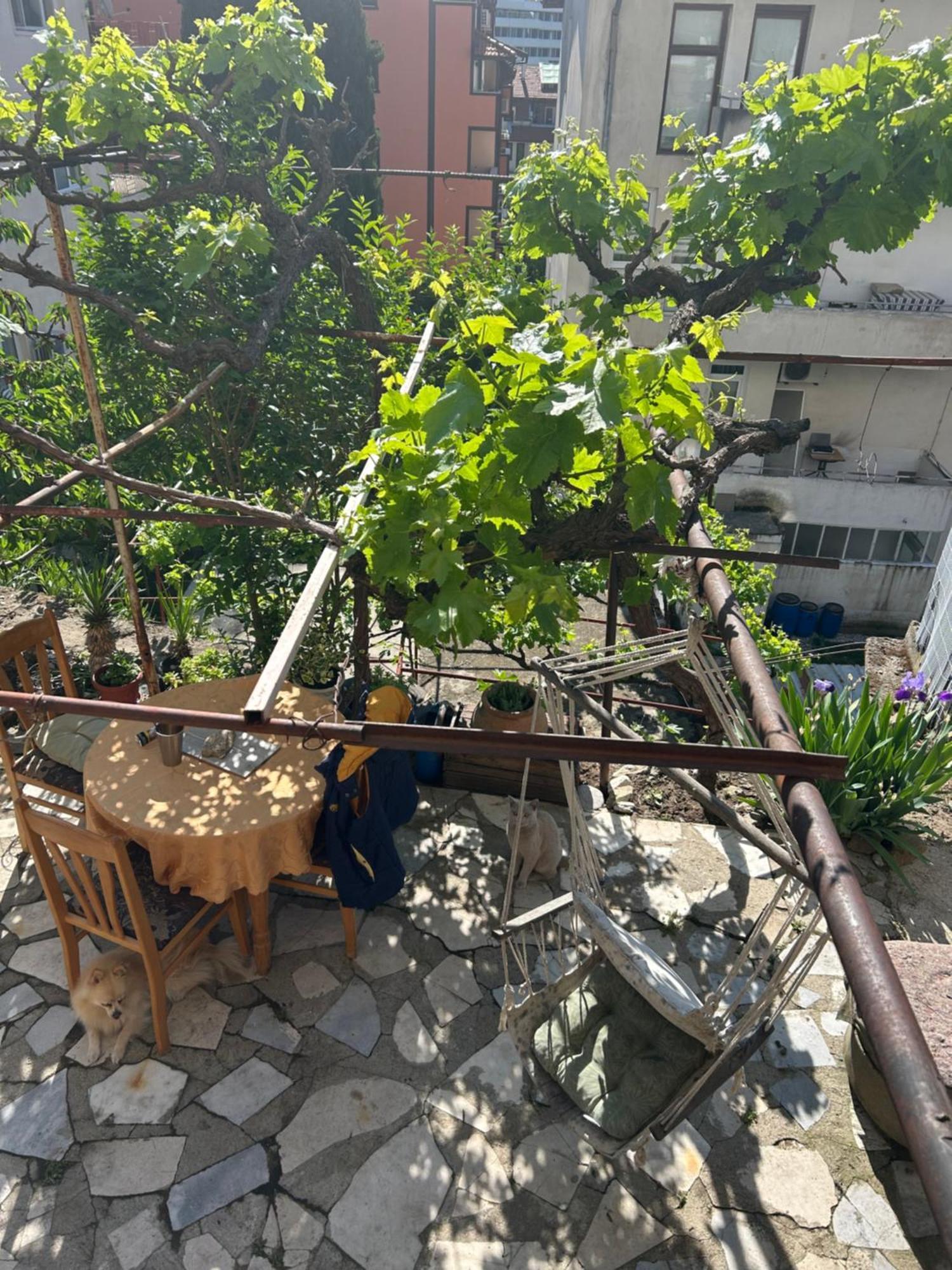 Appartamento Didi House Sandanski Esterno foto